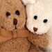 Plush Stuffed Animal